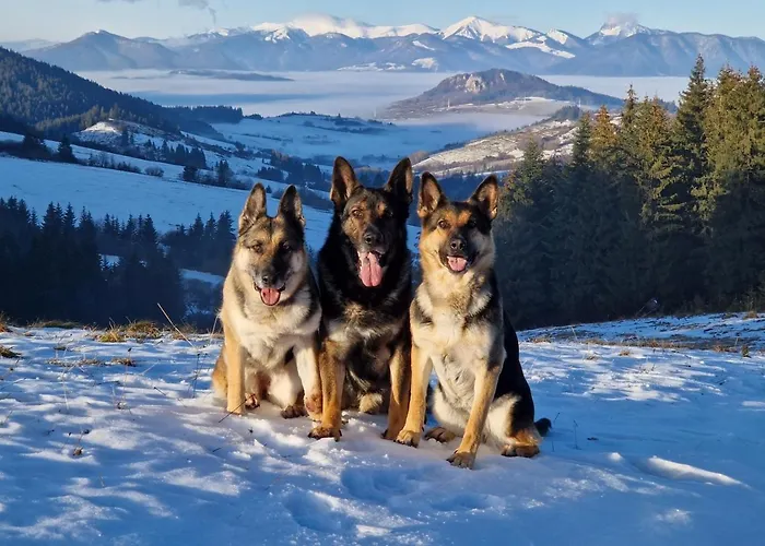 Drevenice Osádka Holiday home