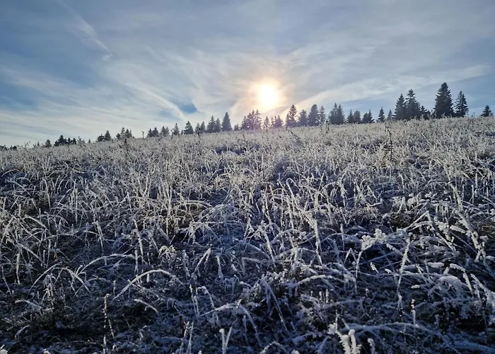 Holiday home Drevenice Osádka *